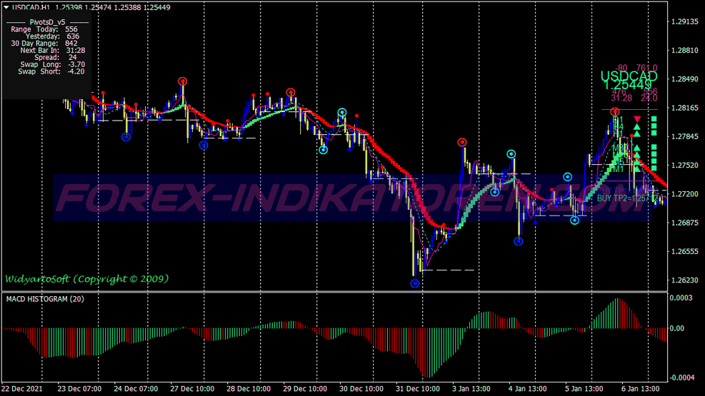 Hama Direction Scalping Trading System für MT4