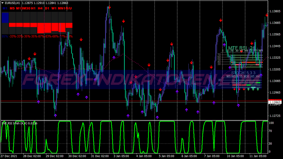 Steenmarter Binary Options Trading System für MT4