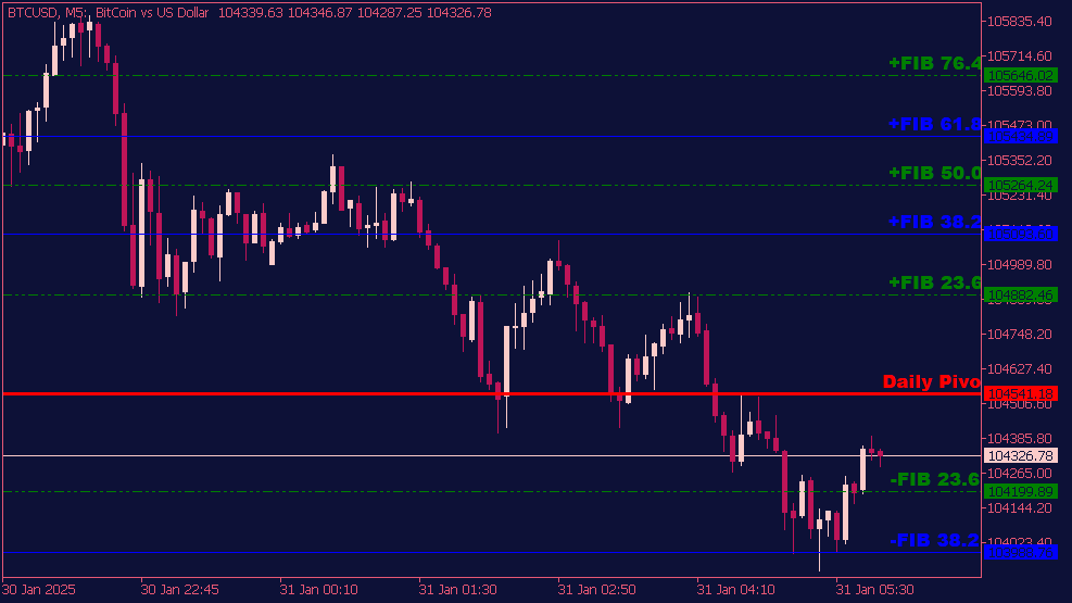 Daily Fibo Pivot Points Indikator für MT5